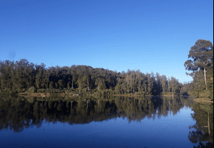 Tamil nadu tourism Ooty boat house|Tamil nadu tourist attractions
